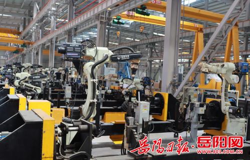 目标年产值30亿元 湖南工程机械配套产业园又一重点项目建成投产